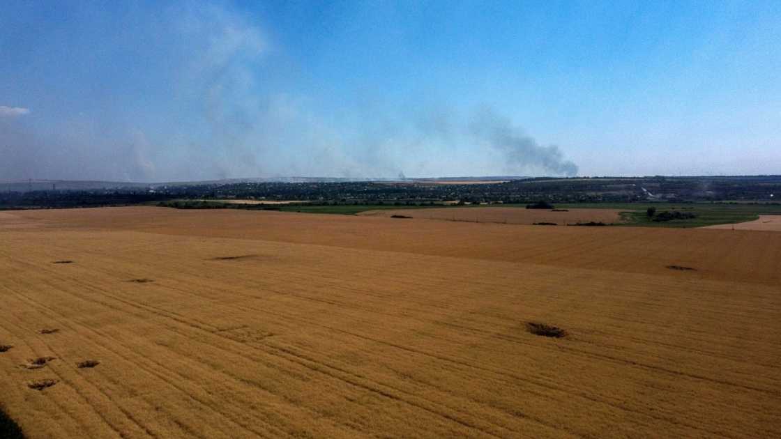 The US space agency estimates that more than one-fifth of Ukraine's farmland is now under Russian control The US space agency estimates that more than one-fifth of Ukraine's farmland is now under Russian control