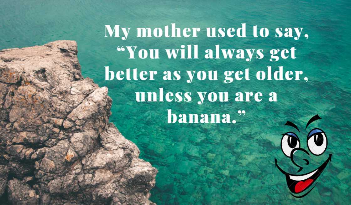 stupid quotes stupid quotes