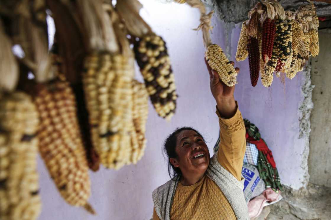 According to the Norwegian Refugee Council, a humanitarian organization, some 660,000 people were displaced in Peru between 2008 and 2019 due to natural disasters According to the Norwegian Refugee Council, a humanitarian organization, some 660,000 people were displaced in Peru between 2008 and 2019 due to natural disasters