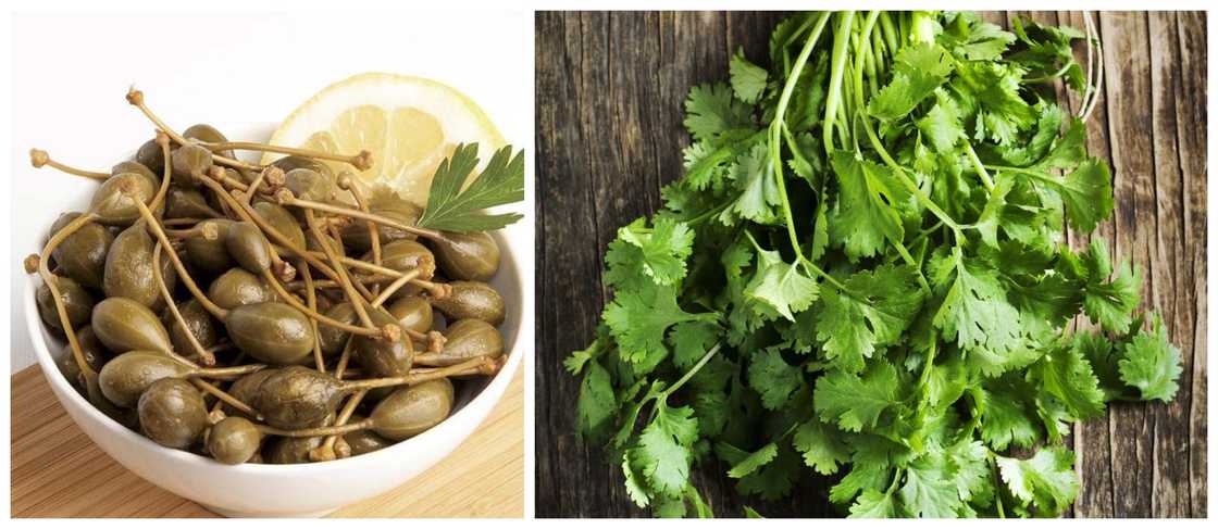 spices in the Bible and their uses spices in the Bible and their uses