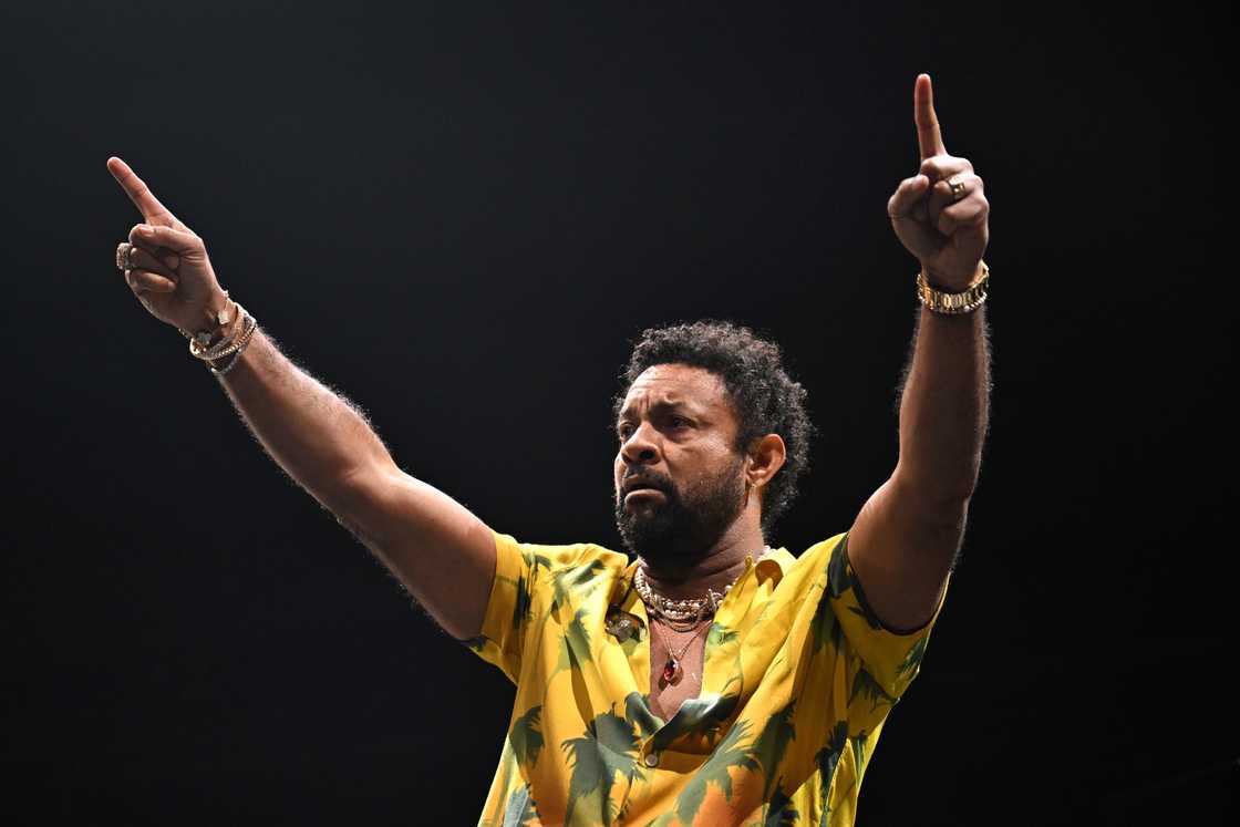 Shaggy performs onstage Shaggy performs onstage