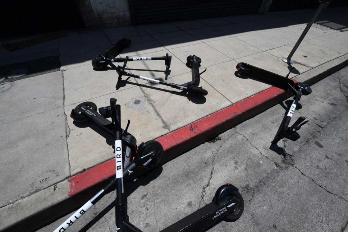 Electric scooter company Bird filed for bankruptcy protection for its US assets