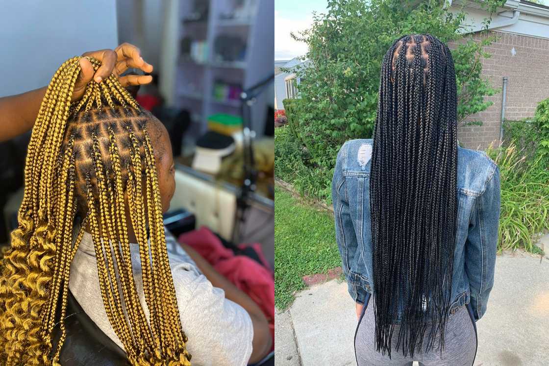 starter locs