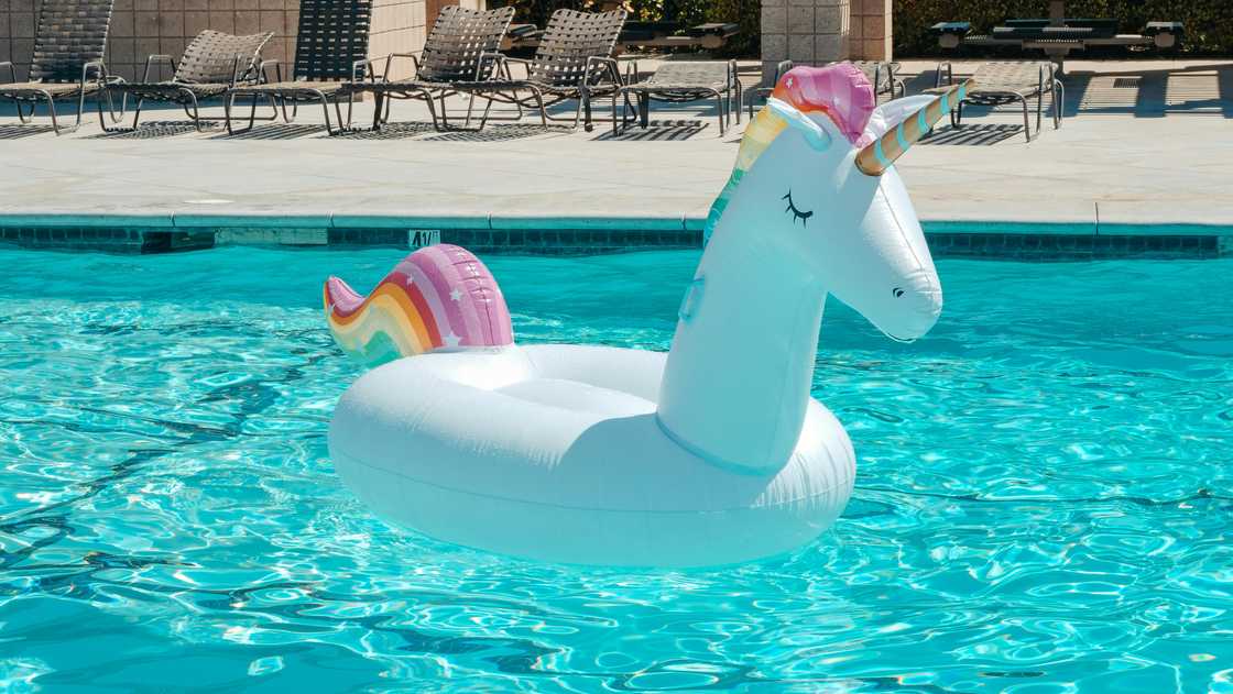 Unicorn pool float