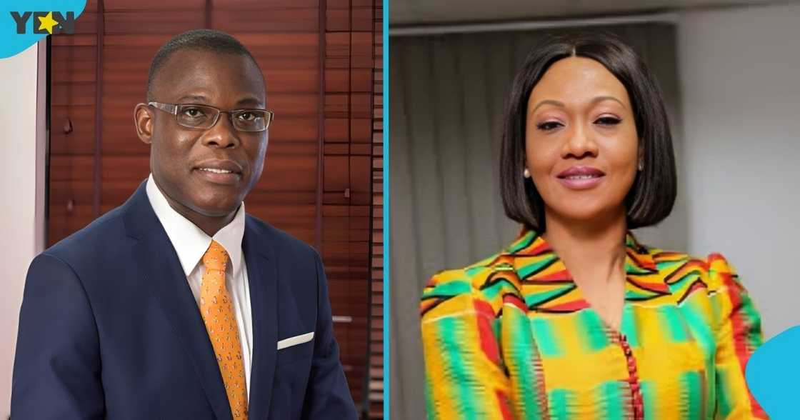 Fifi Kwetey, NDC, General Secretary, Jean Mensa, Electoral Commissioner, SALL area, parliamentary election.