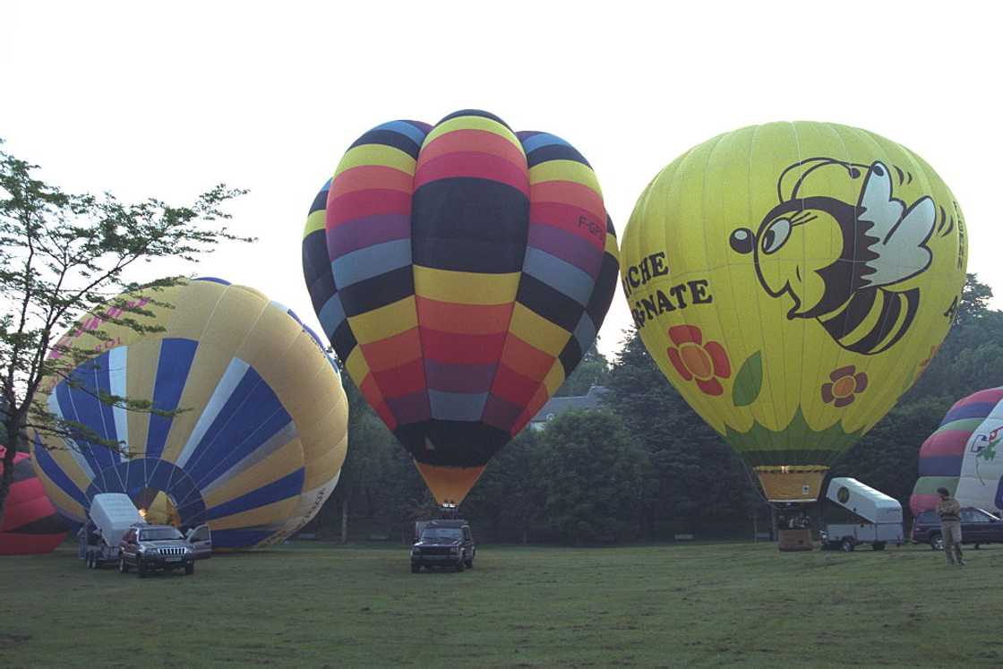 A group of colourful hot air balloons. A group of colourful hot air balloons.