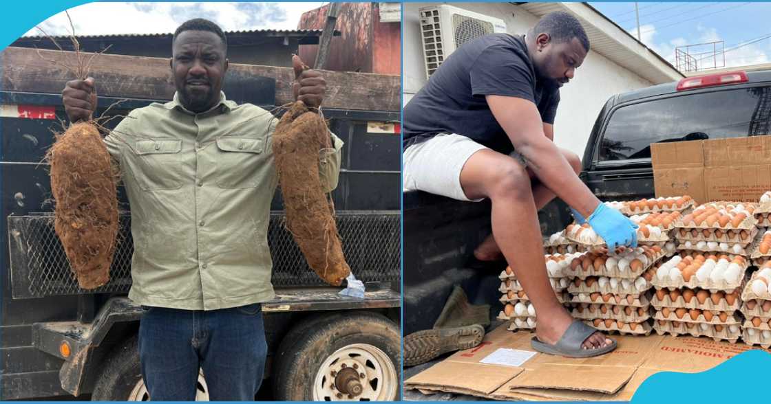 John Dumelo in pics John Dumelo in pics