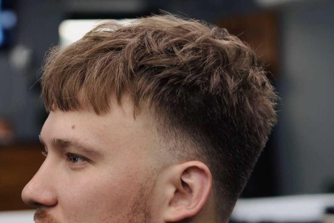 Dark brown French crop haircut Dark brown French crop haircut