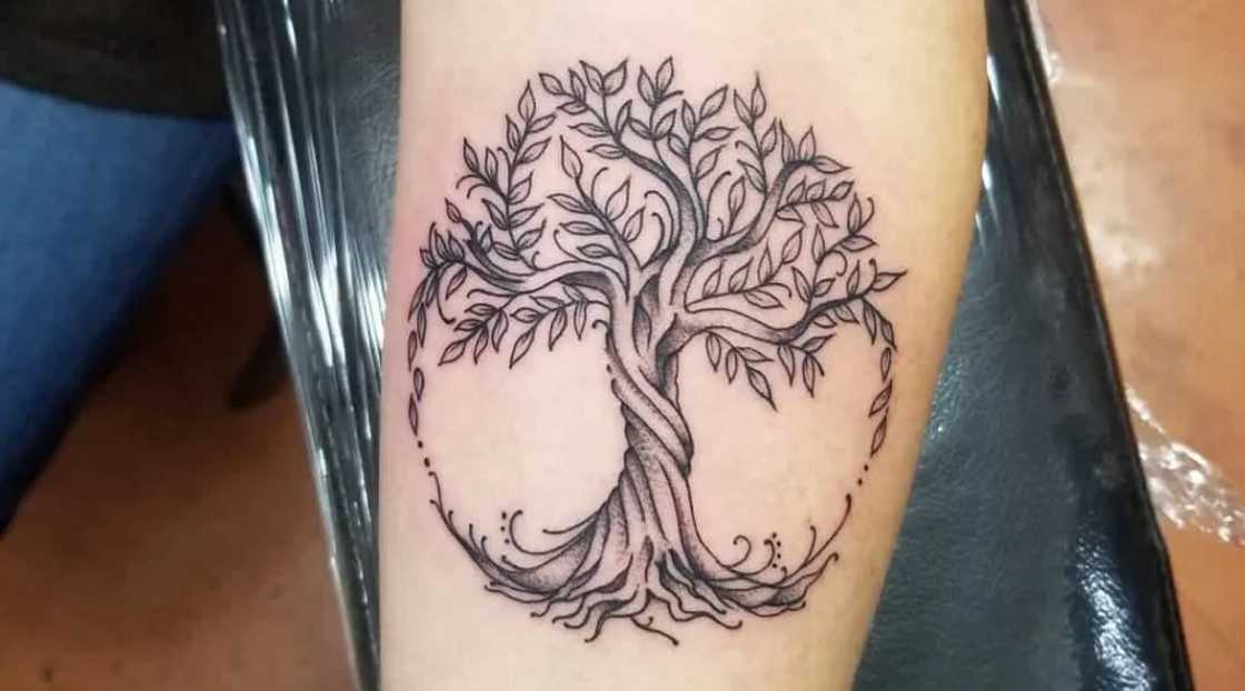tree of life tattoo ideas tree of life tattoo ideas