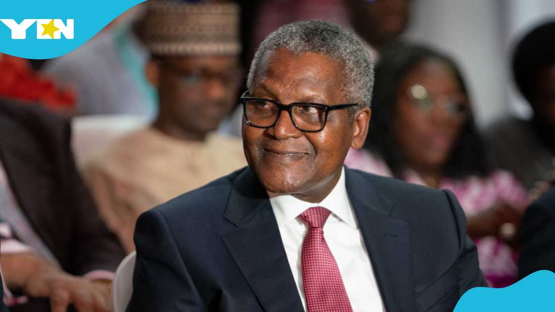 Aliko Dangote Shares Tip to His Success: "I Had My First Private Jet Before the Age Of 23"