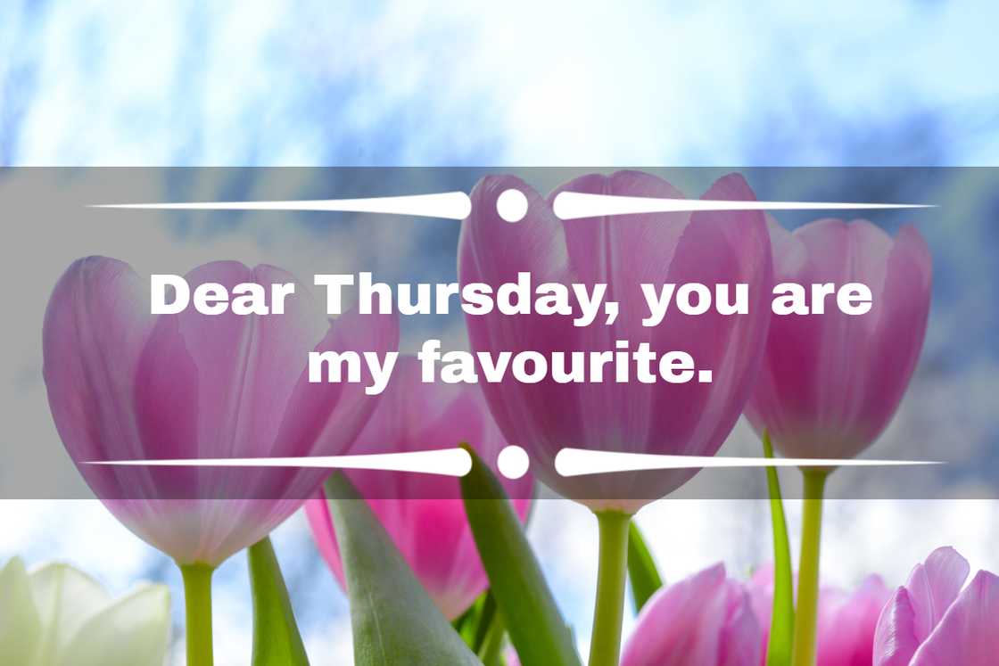 happy Thursday quotes happy Thursday quotes