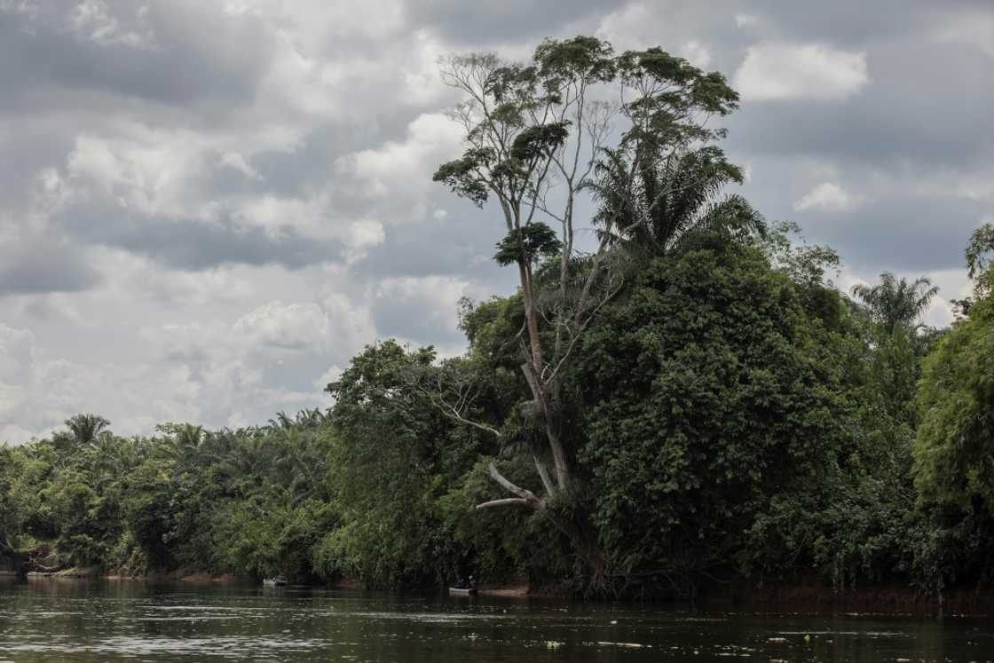 DR Congo is expected to drive home the message that it is a country that can provide solutions for climate change DR Congo is expected to drive home the message that it is a country that can provide solutions for climate change