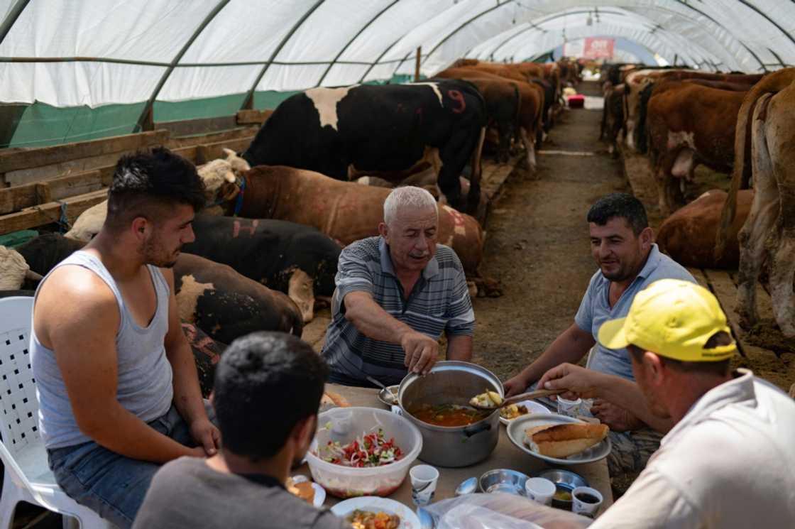Turks who make a living raising animals and selling them on open markets fear their business model may soon collapse Turks who make a living raising animals and selling them on open markets fear their business model may soon collapse