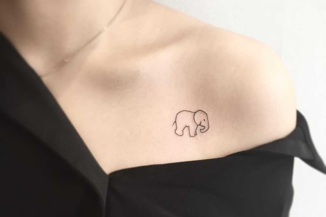 An elephant fine line shoulder tattoo An elephant fine line shoulder tattoo