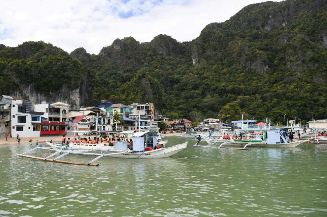 Palawan locals have pushed back against new mines, whose effects range from deforestation and flooding to the displacement of Indigenous peoples Palawan locals have pushed back against new mines, whose effects range from deforestation and flooding to the displacement of Indigenous peoples