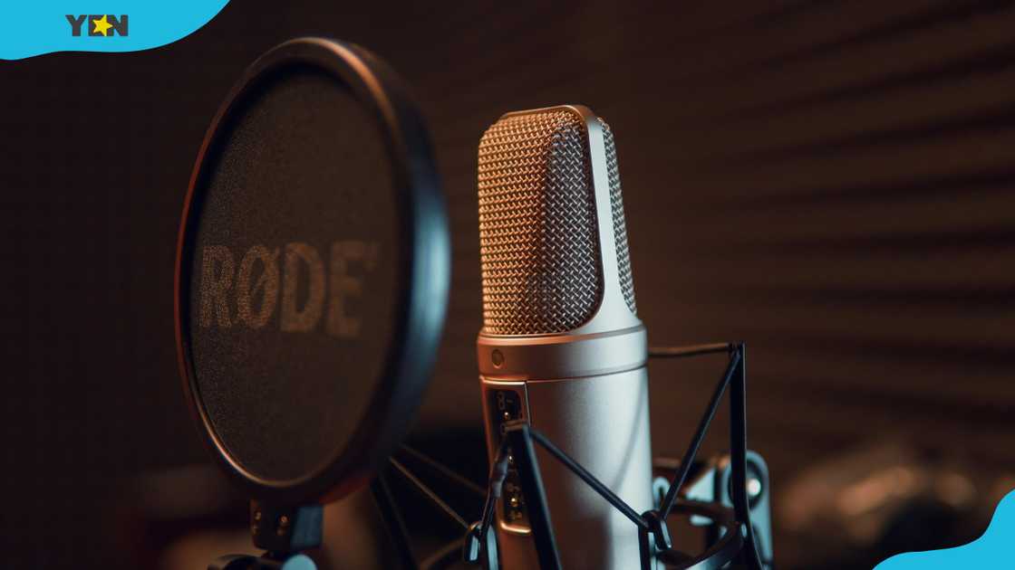 A grey microphone on a black microphone stand.