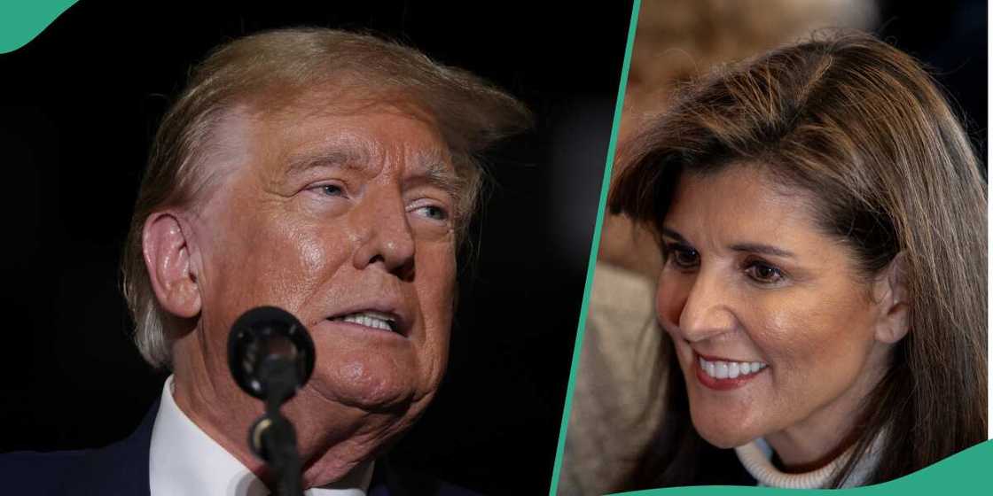 US election/US election 2024/Donald Trump/Donald Trump news US election/US election 2024/Donald Trump/Donald Trump news