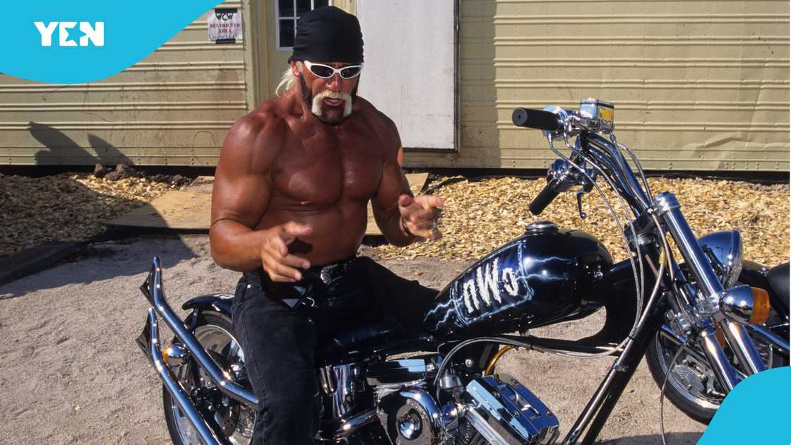 Hulk Hogan, Terry Gene Bollea, WWE, New World Order NWO, wrestling