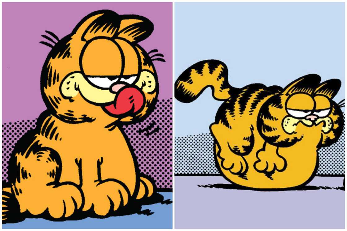 Fat cartoon characters Fat cartoon characters