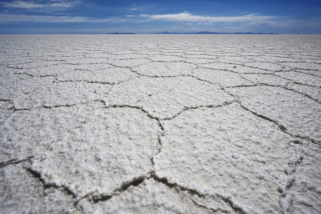 The plants are to be situated in Bolivia's vast Uyuni salt flats The plants are to be situated in Bolivia's vast Uyuni salt flats
