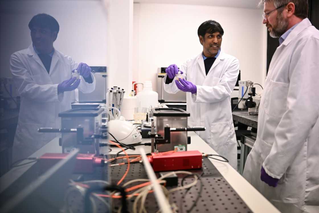 Researchers led by Steven Daniels (R) use a hot plate to melt honey before analysing it Researchers led by Steven Daniels (R) use a hot plate to melt honey before analysing it