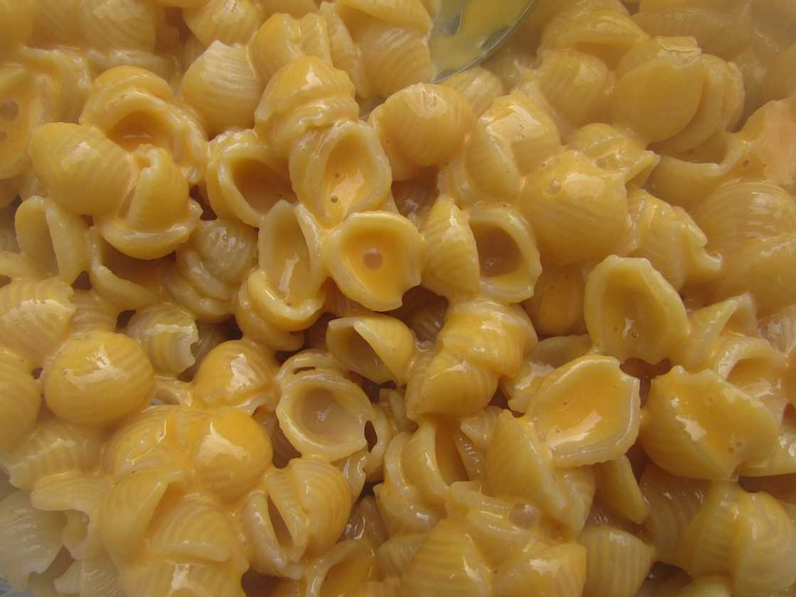 Macaroni and cheese Macaroni and cheese