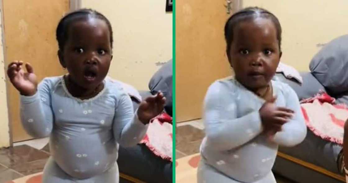 TikTok shows baby dancing to amapiano TikTok shows baby dancing to amapiano