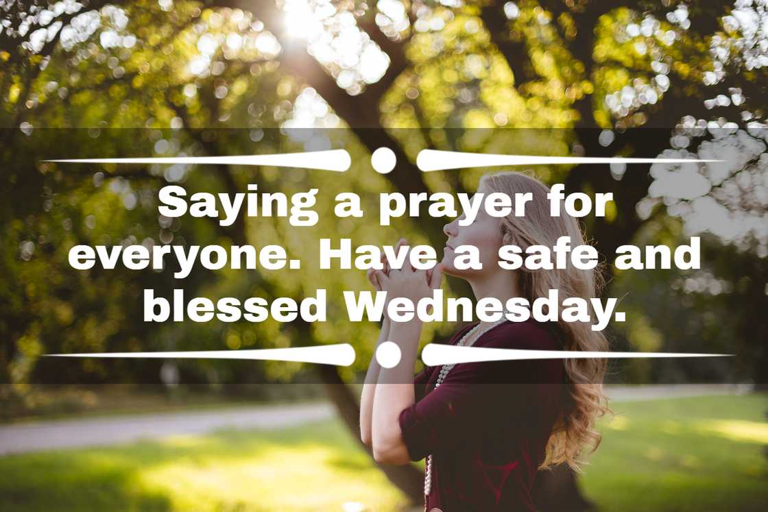 happy Wednesday happy Wednesday