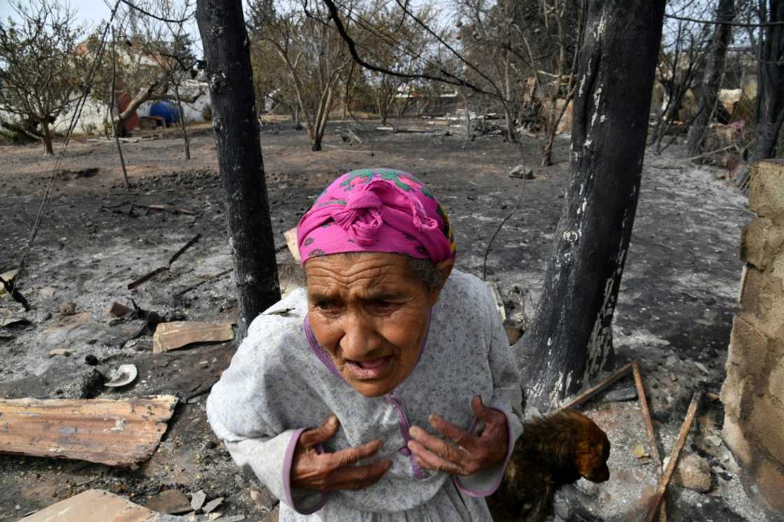An elderly Algerian woman outside her home, destroyed in a wildfire in the city of el-Kala in August last year An elderly Algerian woman outside her home, destroyed in a wildfire in the city of el-Kala in August last year