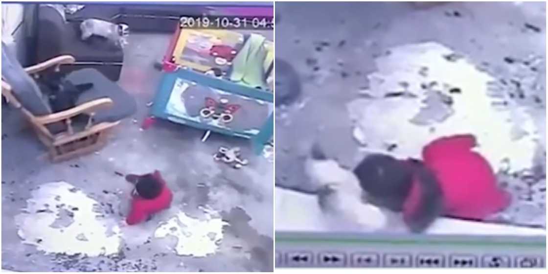 Cat saves baby from falling Cat saves baby from falling