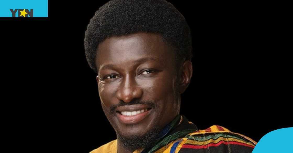 business opportunity, ghana, nana kwame bediako, investment, business mogul, entrepreneur