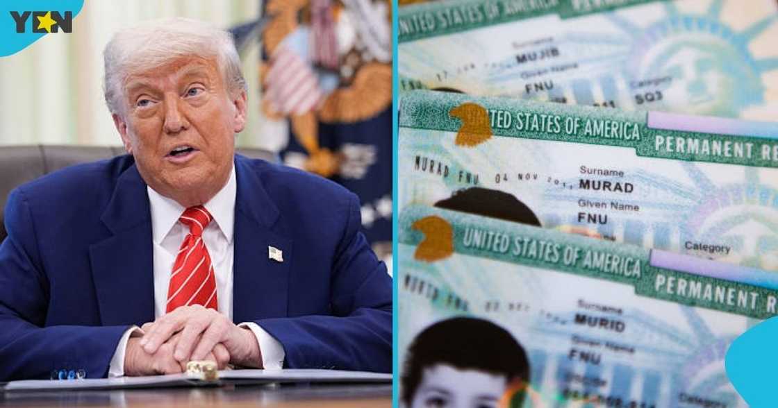 US, Permanent Resident Card, the Green Card, United States Citizenship and Immigration Services, USCIS, foreign nationals, President Donald Trump