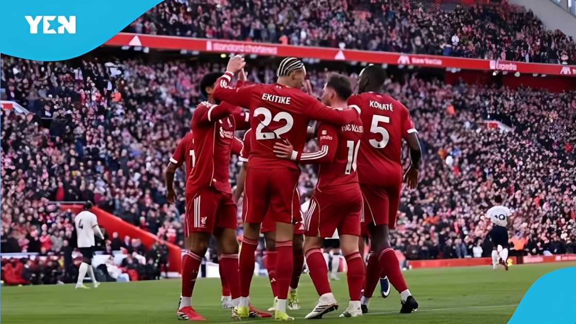 alexis mac allister, alexis mac allister hair transplant, liverpool fc, real madrid transfer, mac allister photos, liverpool vs leeds united