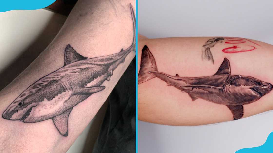 Realistic shark tattoos