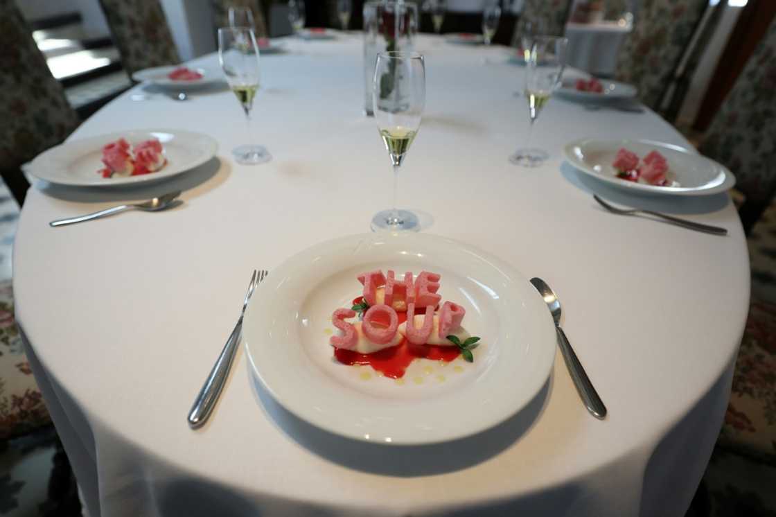 Plastic reproductions of elBulli dishes on display Plastic reproductions of elBulli dishes on display