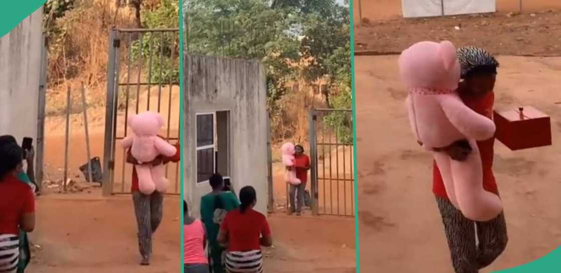Video as student shout after one of them returned to hostel with Valentine's Day gifts Video as student shout after one of them returned to hostel with Valentine's Day gifts