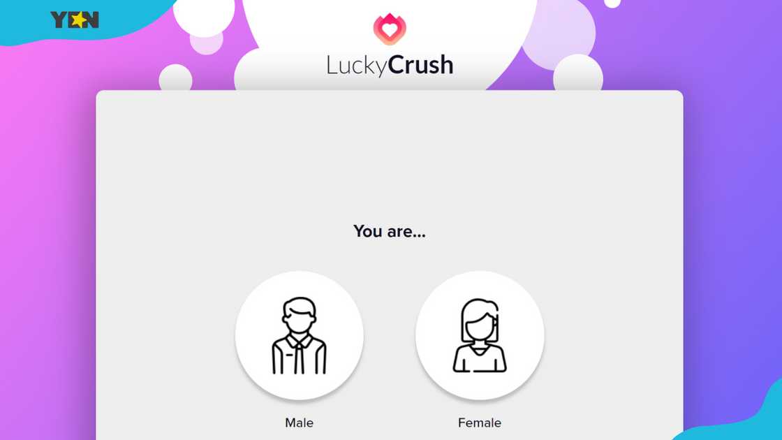The LuckyCrush homepage. The LuckyCrush homepage.