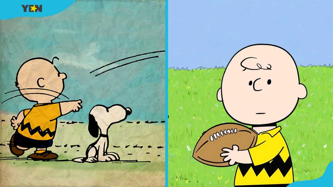 Charlie Brown from Peanuts Charlie Brown from Peanuts