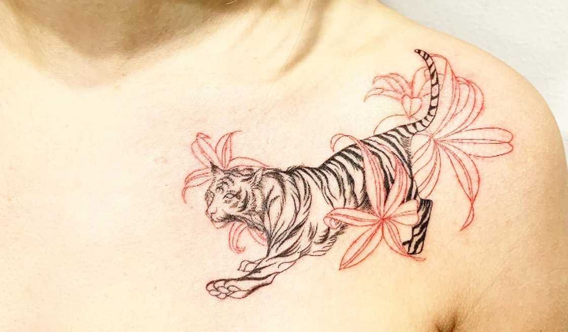 The tiger collarbone tattoo The tiger collarbone tattoo