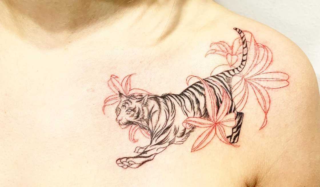 The tiger collarbone tattoo