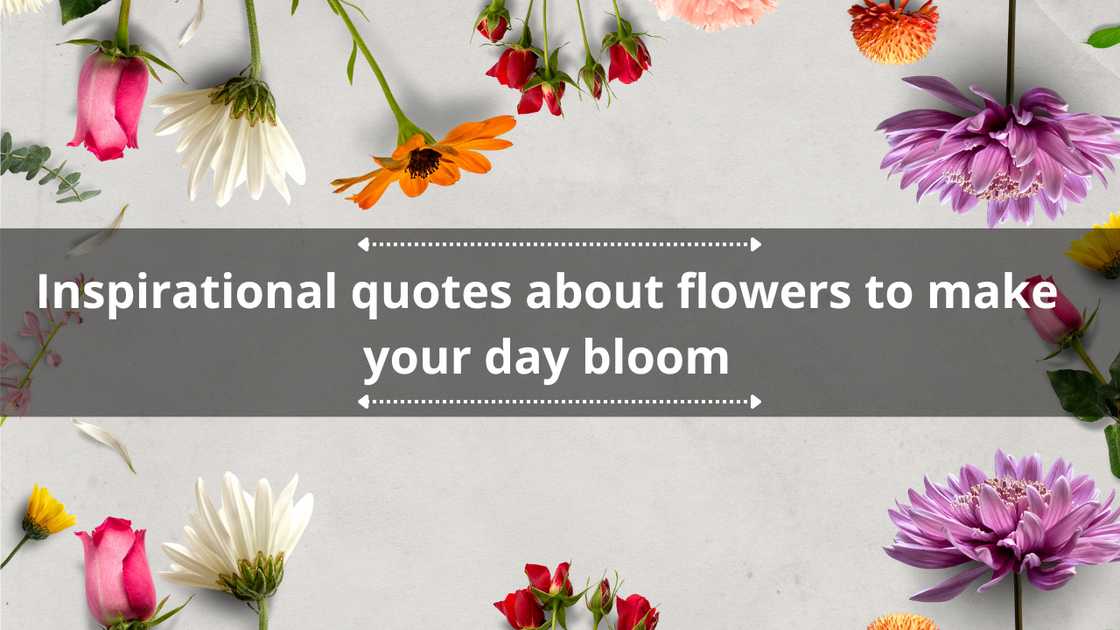 Inspirational quotes about flowers