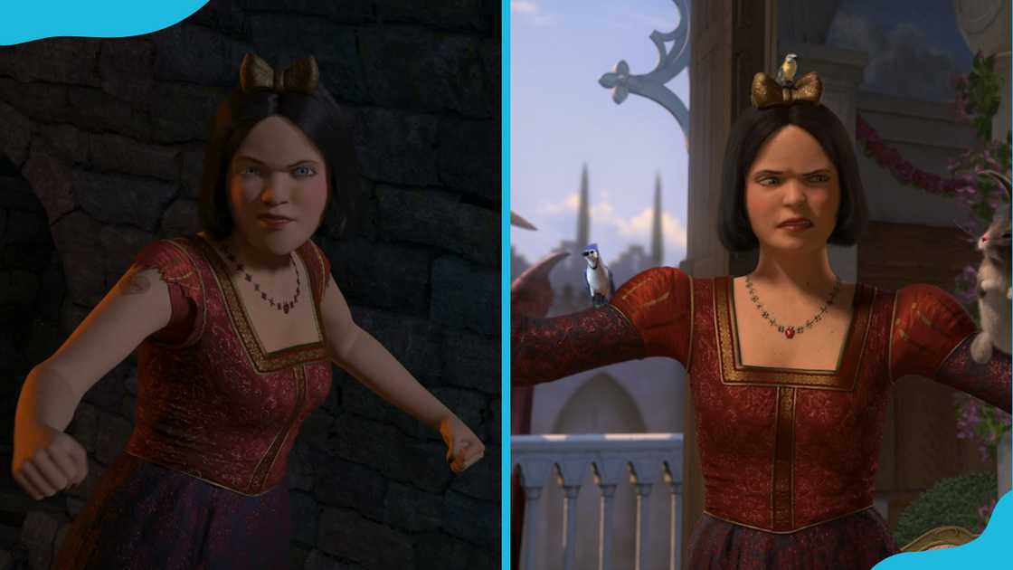 Snow White in her princess attire Snow White in her princess attire