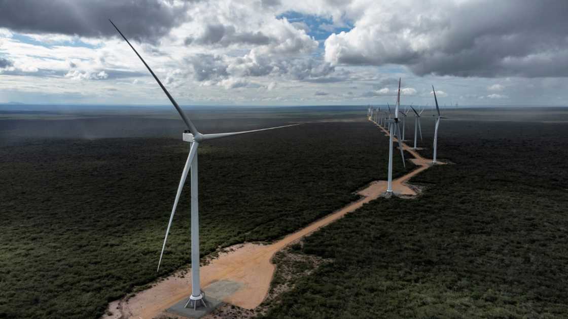 The Canudos Wind Energy Complex is one of many wind projects in Brazil's northeast, where energy and conservation demands can be at odds The Canudos Wind Energy Complex is one of many wind projects in Brazil's northeast, where energy and conservation demands can be at odds