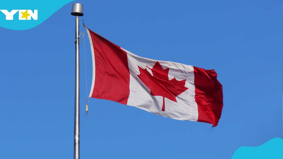 Canada released official guidance outlining what foreign nationals must do after losing a job tied to an employer-specific work permit