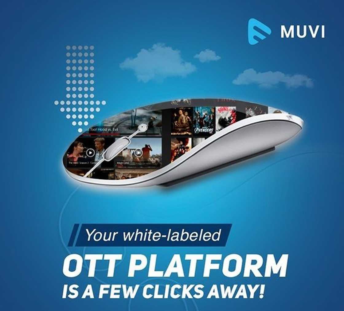 OTT platforms OTT platforms