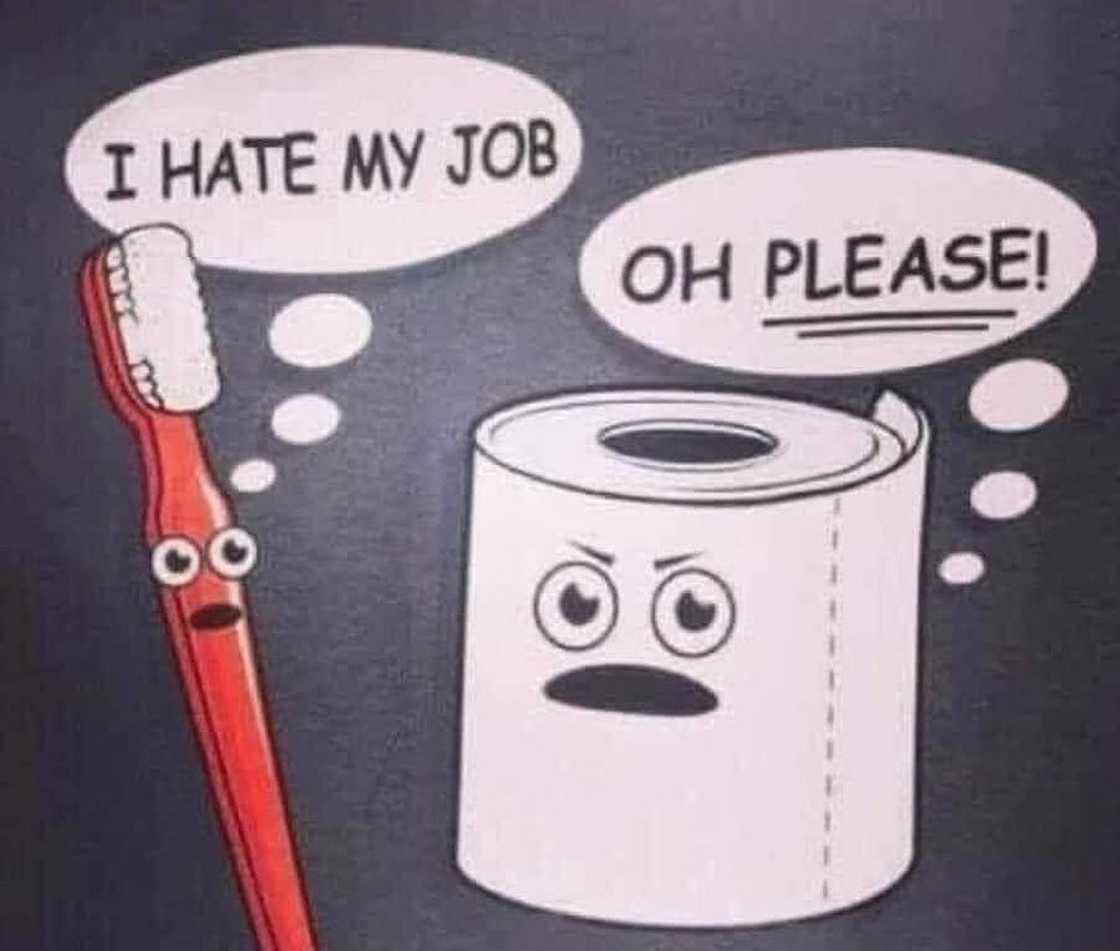 funny memes about life funny memes about life