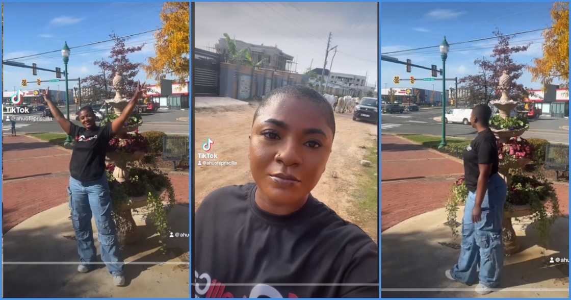 Ahuofe Patri Ahuofe Patri