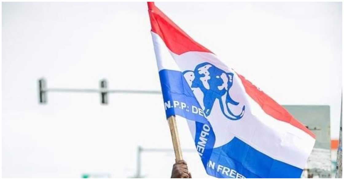 NPP flag NPP flag