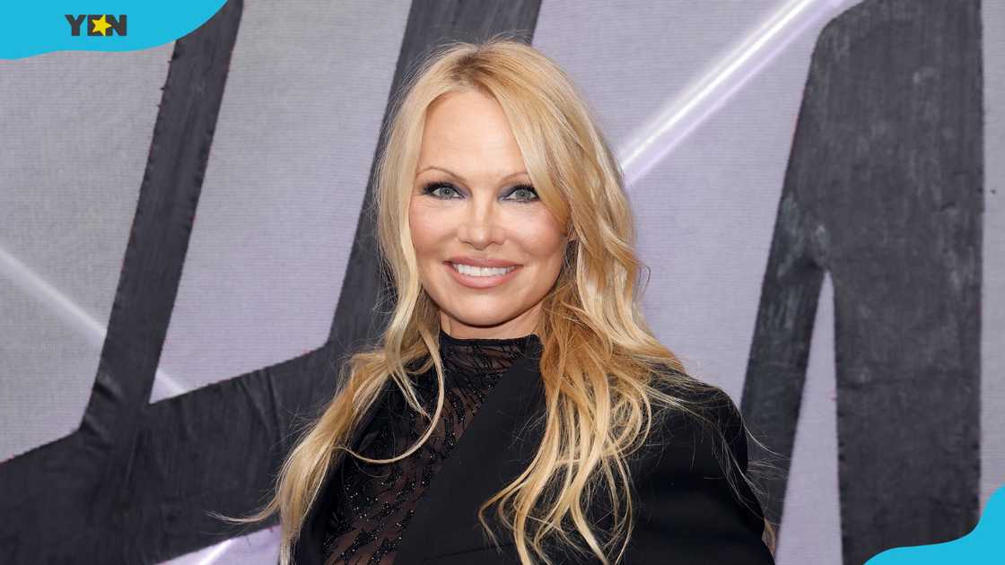 Pamela Anderson's net worth Pamela Anderson's net worth