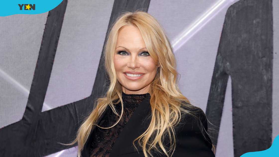 Pamela Anderson's net worth